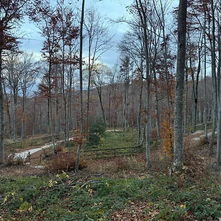 Apartamento Il Rifugio Dell Usignolo