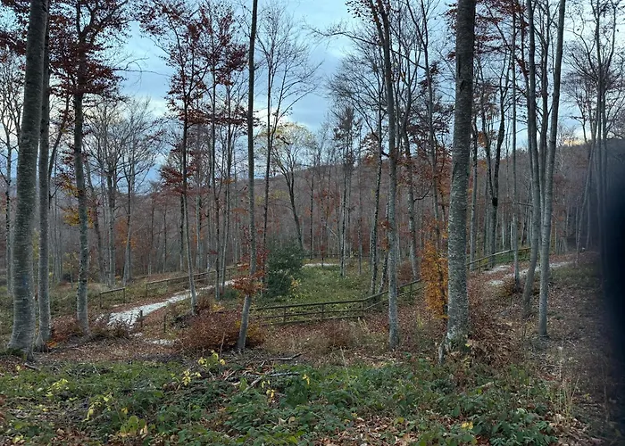 Apartamento Il Rifugio Dell Usignolo